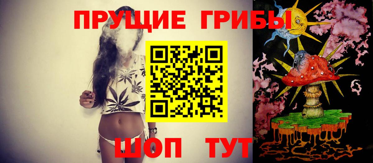 Галлюциногенные грибы GOLDEN TEACHER Жуковский